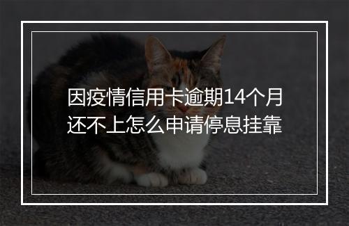 因疫情信用卡逾期14个月还不上怎么申请停息挂靠