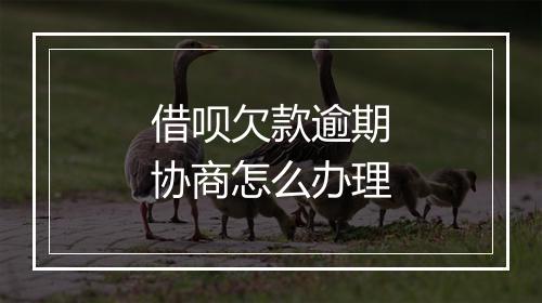 借呗欠款逾期协商怎么办理