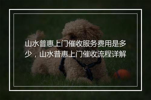 山水普惠上门催收服务费用是多少，山水普惠上门催收流程详解