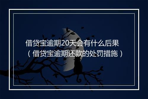 借贷宝逾期20天会有什么后果（借贷宝逾期还款的处罚措施）