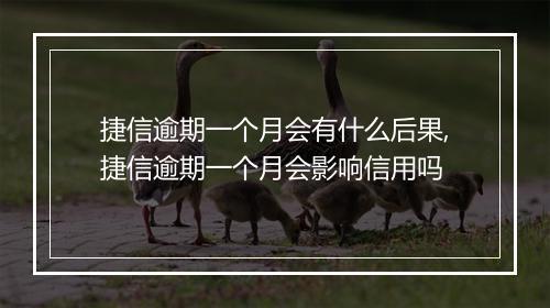 捷信逾期一个月会有什么后果,捷信逾期一个月会影响信用吗