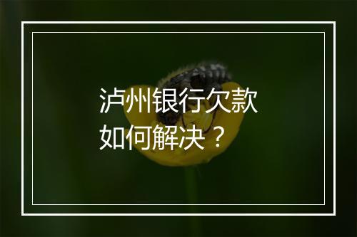 泸州银行欠款如何解决？