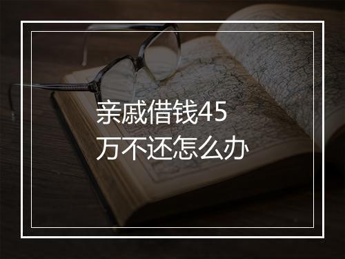 亲戚借钱45万不还怎么办