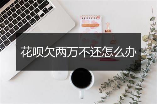 花呗欠两万不还怎么办