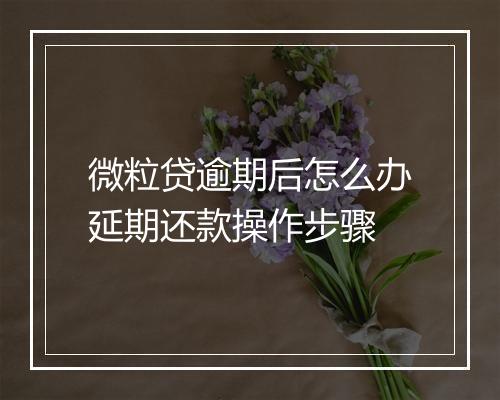 微粒贷逾期后怎么办延期还款操作步骤