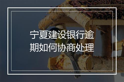 宁夏建设银行逾期如何协商处理
