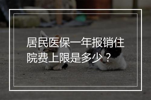 居民医保一年报销住院费上限是多少？