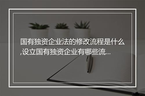 国有独资企业法的修改流程是什么,设立国有独资企业有哪些流程