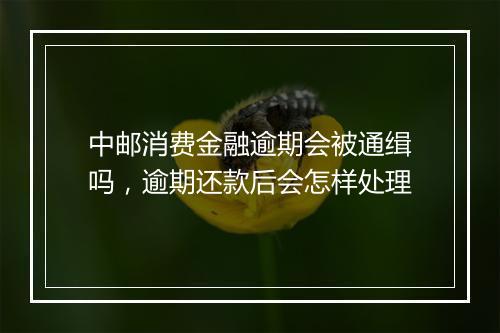 中邮消费金融逾期会被通缉吗，逾期还款后会怎样处理