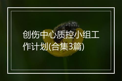 创伤中心质控小组工作计划(合集3篇)