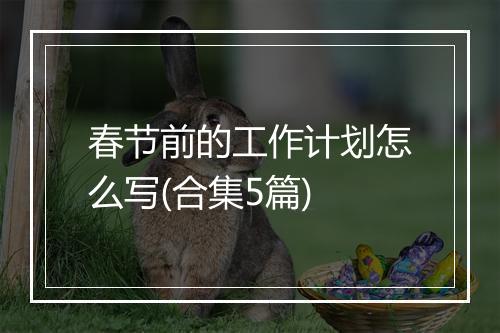 春节前的工作计划怎么写(合集5篇)