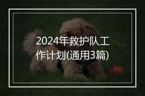 2024年救护队工作计划(通用3篇)