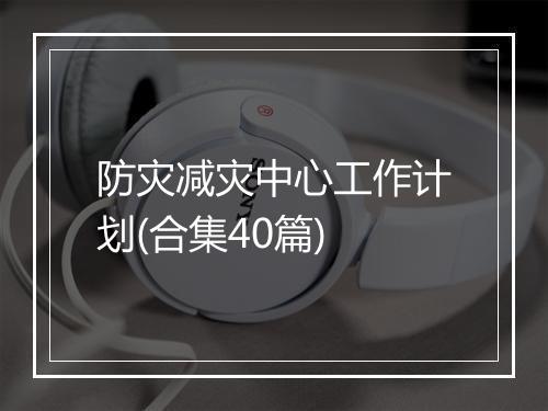 防灾减灾中心工作计划(合集40篇)