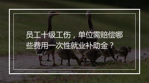 员工十级工伤，单位需赔偿哪些费用一次性就业补助金？