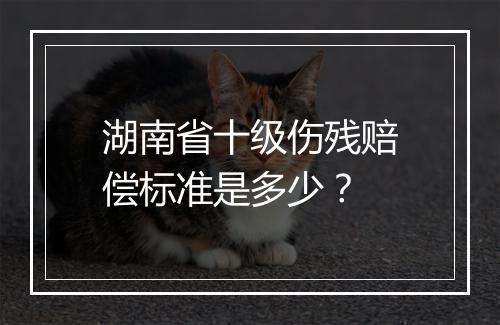 湖南省十级伤残赔偿标准是多少？