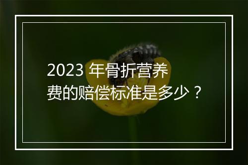 2023 年骨折营养费的赔偿标准是多少？