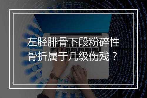 左胫腓骨下段粉碎性骨折属于几级伤残？
