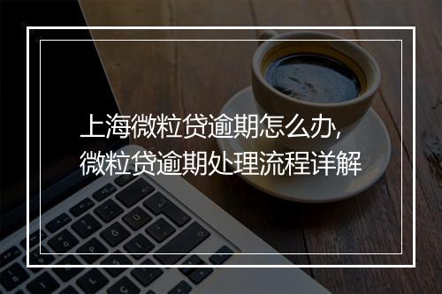 上海微粒贷逾期怎么办,微粒贷逾期处理流程详解
