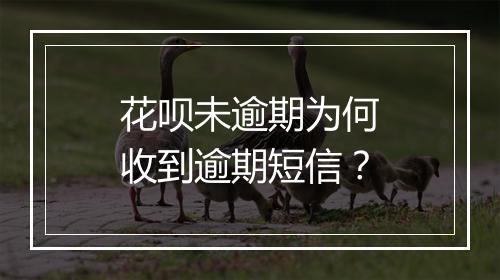 花呗未逾期为何收到逾期短信？