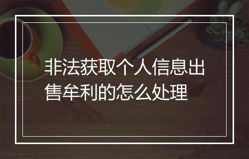 非法获取个人信息出售牟利的怎么处理