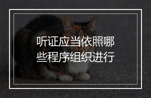 听证应当依照哪些程序组织进行