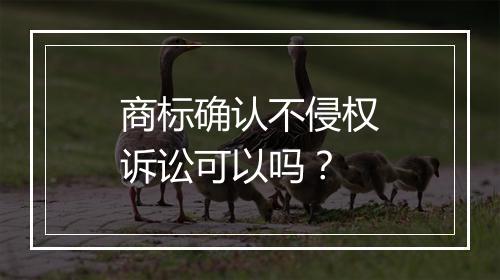 商标确认不侵权诉讼可以吗？