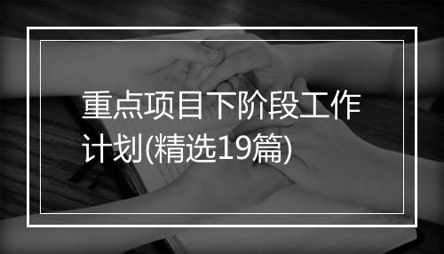 重点项目下阶段工作计划(精选19篇)