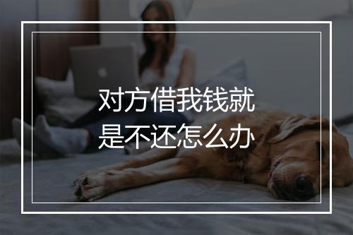 对方借我钱就是不还怎么办