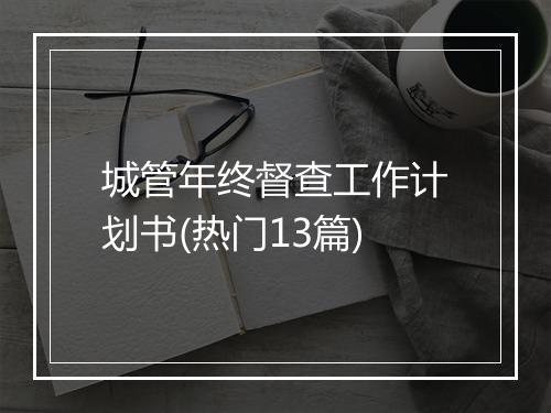 城管年终督查工作计划书(热门13篇)