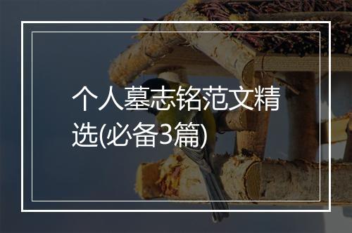 个人墓志铭范文精选(必备3篇)