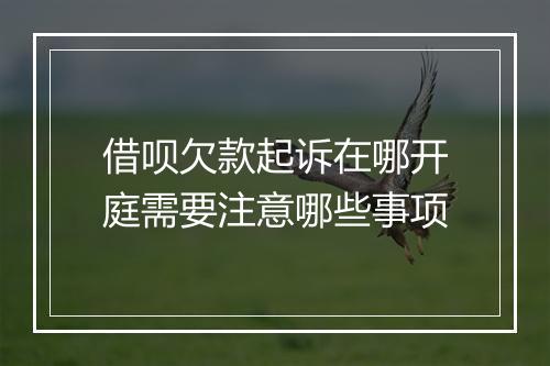 借呗欠款起诉在哪开庭需要注意哪些事项