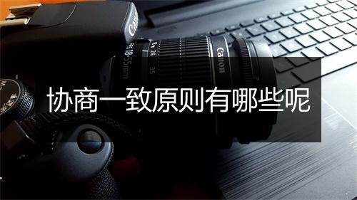协商一致原则有哪些呢