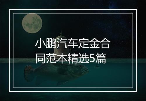 小鹏汽车定金合同范本精选5篇