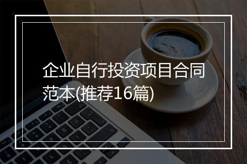 企业自行投资项目合同范本(推荐16篇)