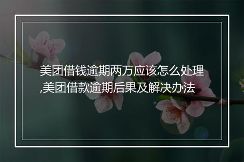 美团借钱逾期两万应该怎么处理,美团借款逾期后果及解决办法