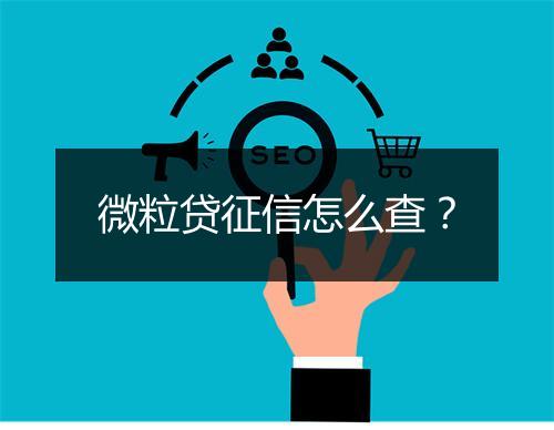 微粒贷征信怎么查？