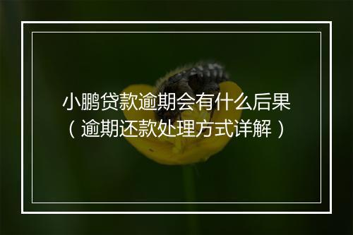 小鹏贷款逾期会有什么后果（逾期还款处理方式详解）