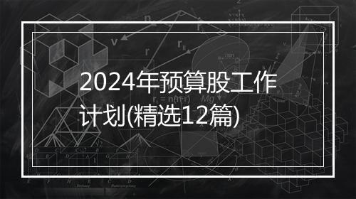 2024年预算股工作计划(精选12篇)