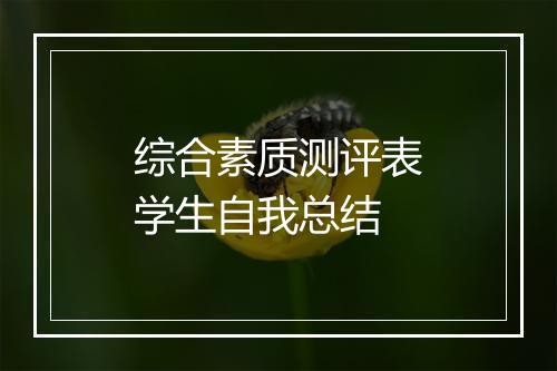 综合素质测评表学生自我总结
