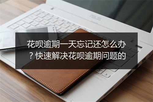 花呗逾期一天忘记还怎么办？快速解决花呗逾期问题的