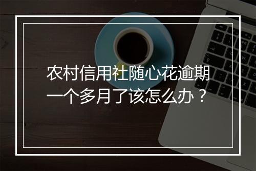 农村信用社随心花逾期一个多月了该怎么办？