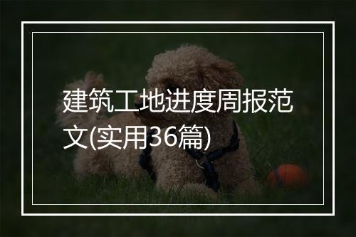 建筑工地进度周报范文(实用36篇)