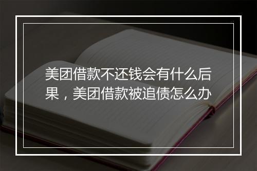美团借款不还钱会有什么后果，美团借款被追债怎么办