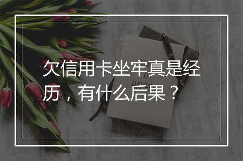 欠信用卡坐牢真是经历，有什么后果？