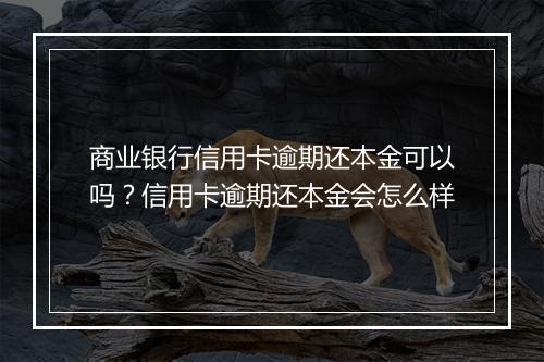商业银行信用卡逾期还本金可以吗？信用卡逾期还本金会怎么样