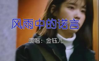 金钰儿歌曲风中的诺言歌词  金钰儿个人资料