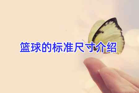 篮球的标准尺寸介绍资料