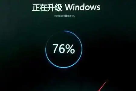 西红柿烂顶怎么办 西红柿烂顶解决办法