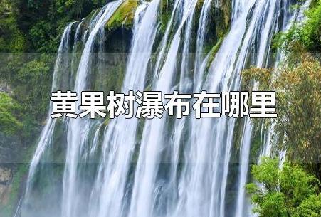 黄果树瀑布在哪里(贵州黄果树瀑布在哪里)