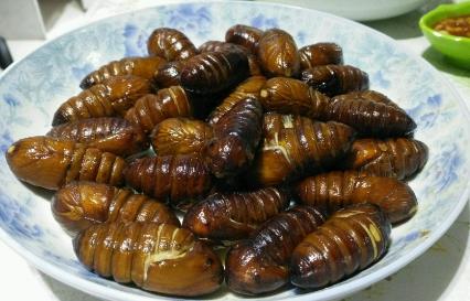 蚕蛹的家常做法 水煮蚕蛹的家常做法